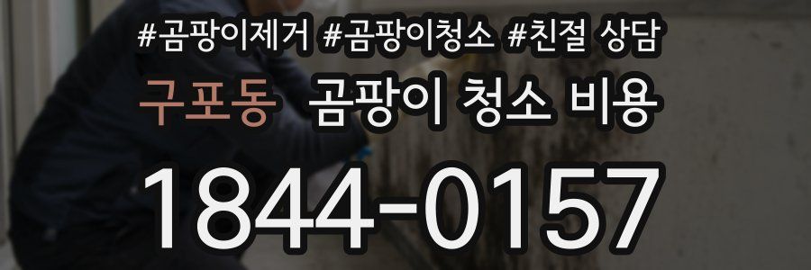 구포동 곰팡이 청소 비용