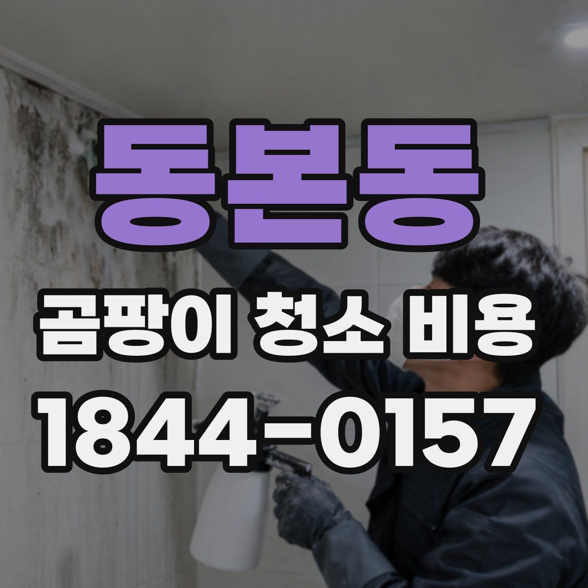 동본동 곰팡이 청소 비용