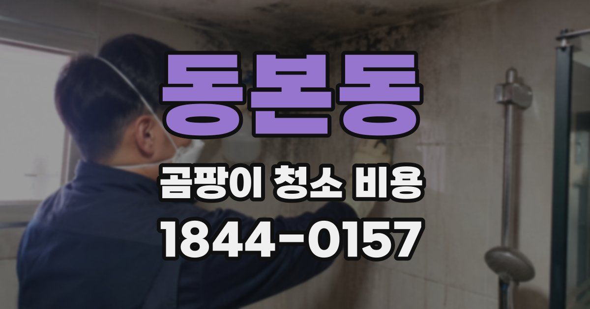동본동 곰팡이 청소 비용