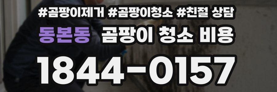동본동 곰팡이 청소 비용