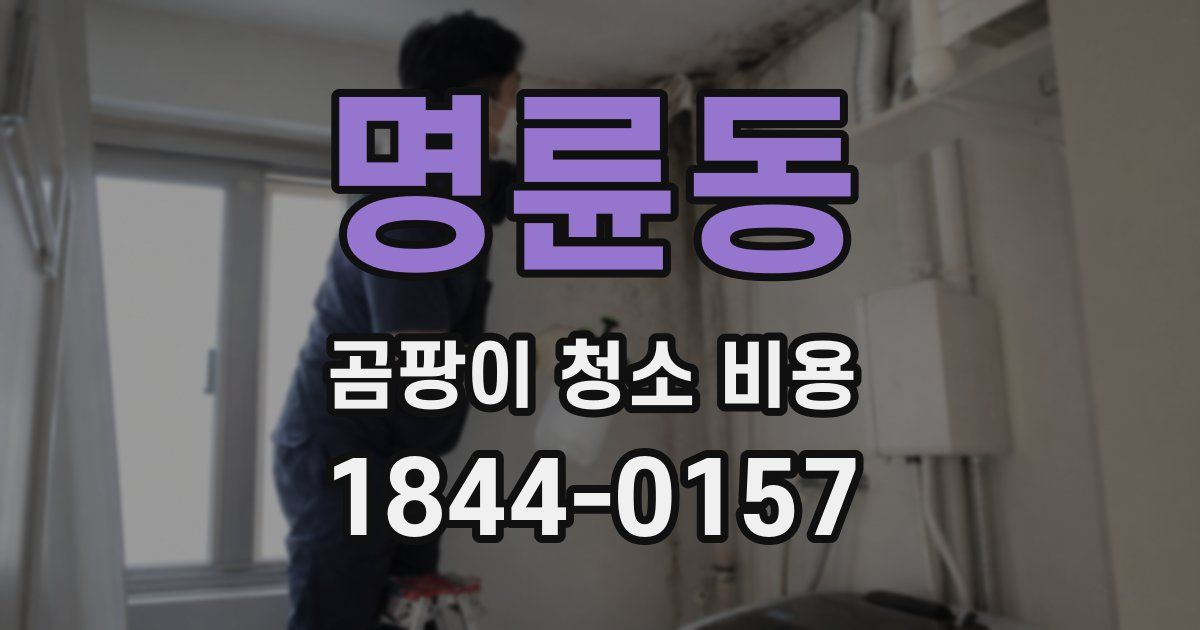 명륜동 곰팡이 청소 비용