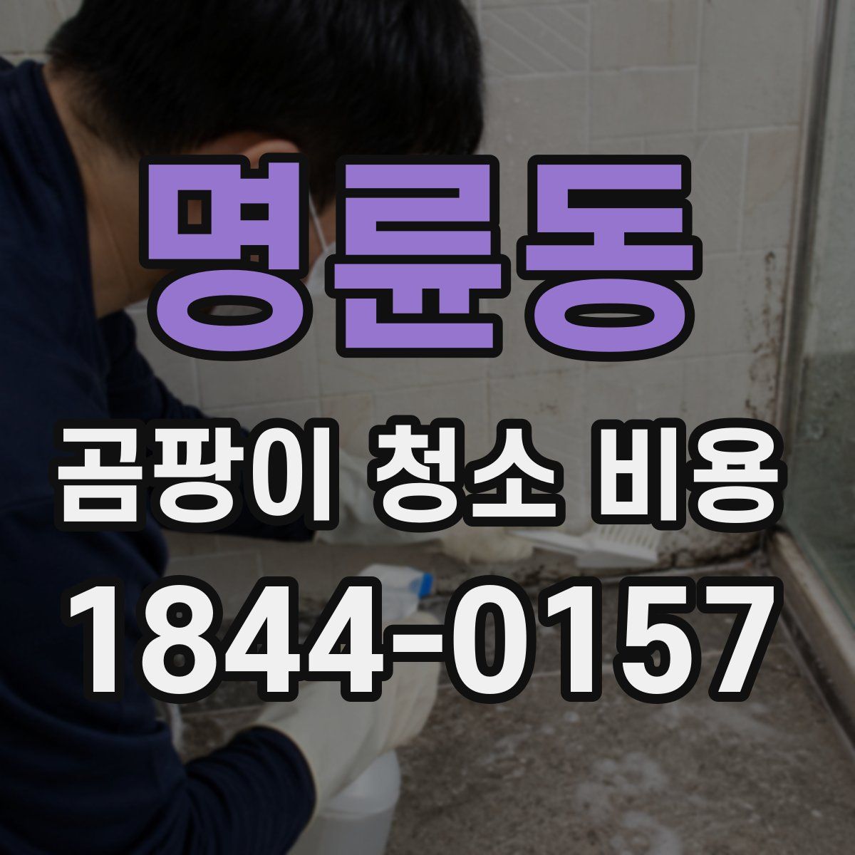 명륜동 곰팡이 청소 비용