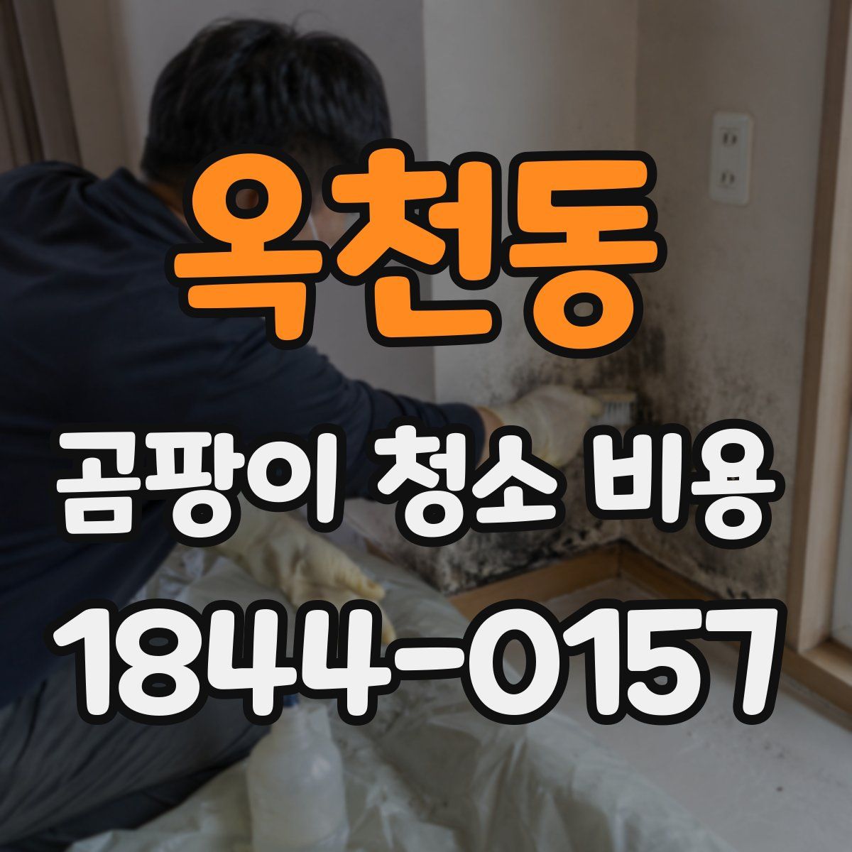 옥천동 곰팡이 청소 비용