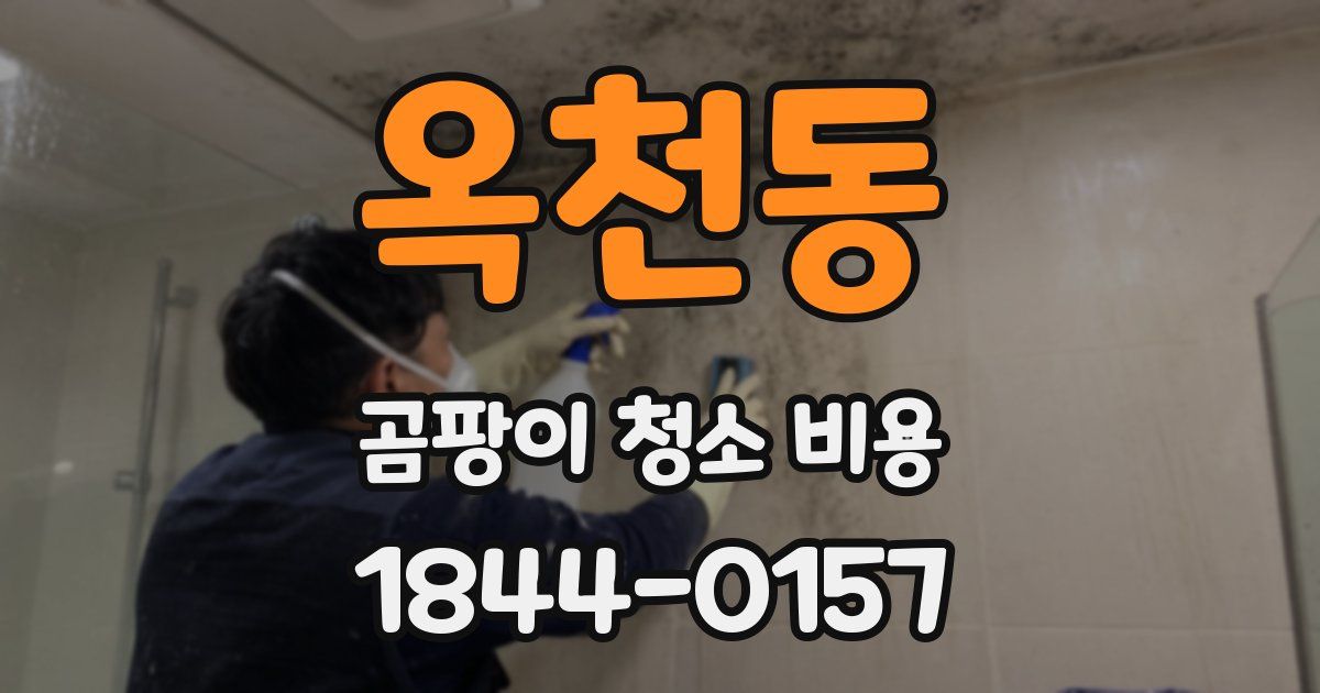 옥천동 곰팡이 청소 비용