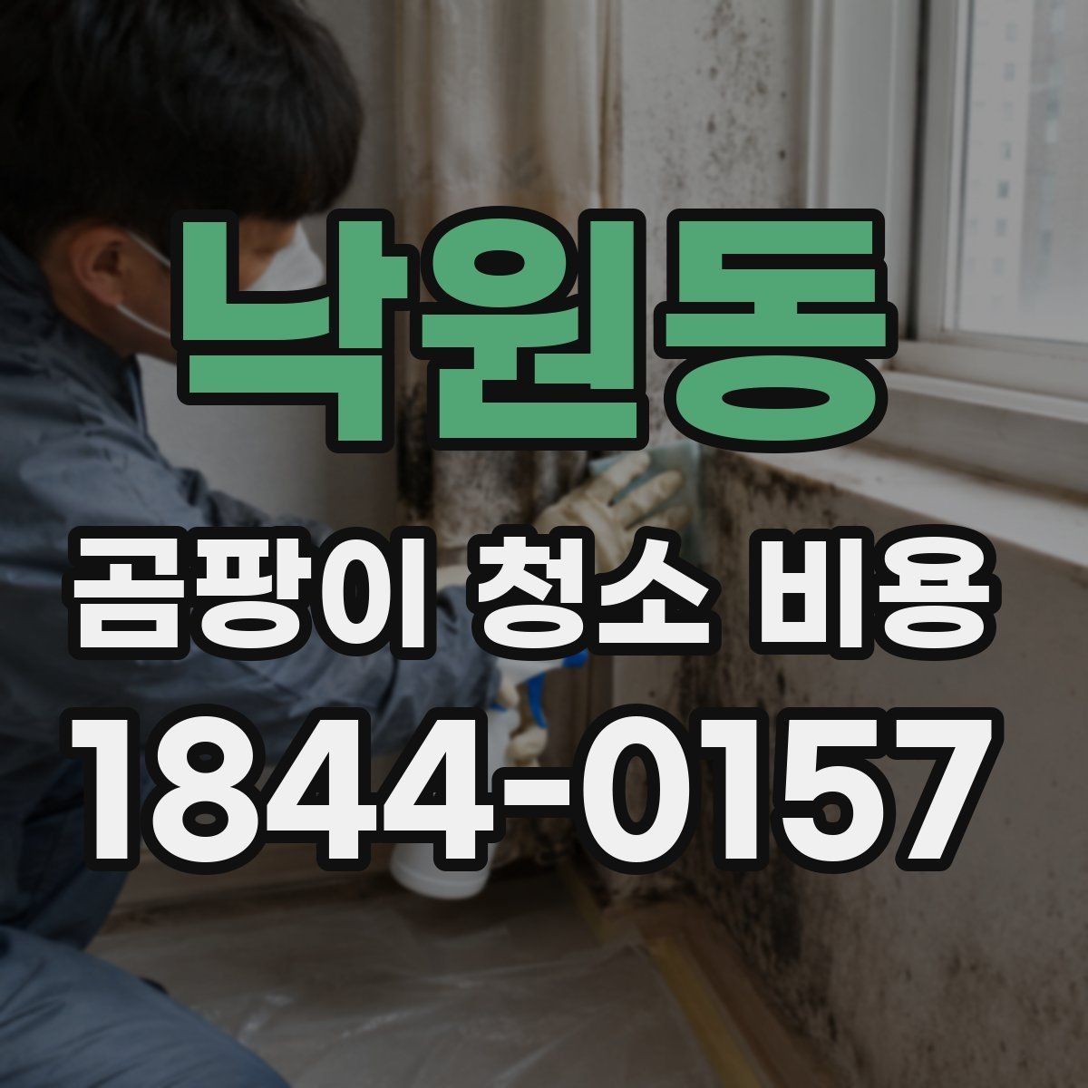 낙원동 곰팡이 청소 비용 비교 시 꼭 확인할 서비스 범위