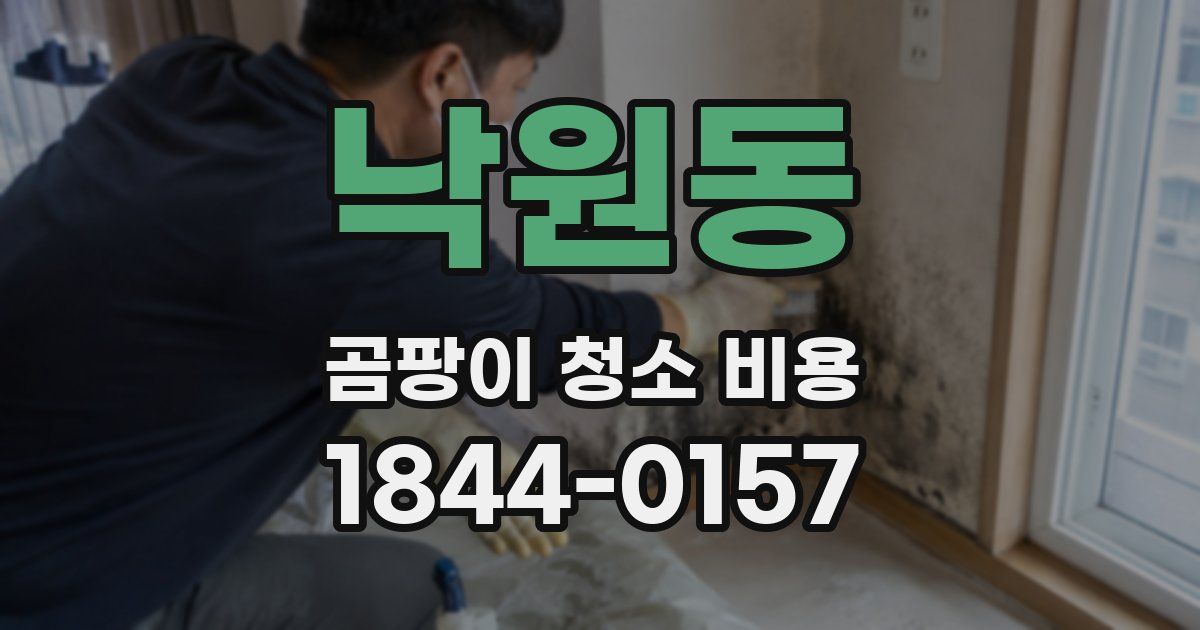 낙원동 곰팡이 청소 비용