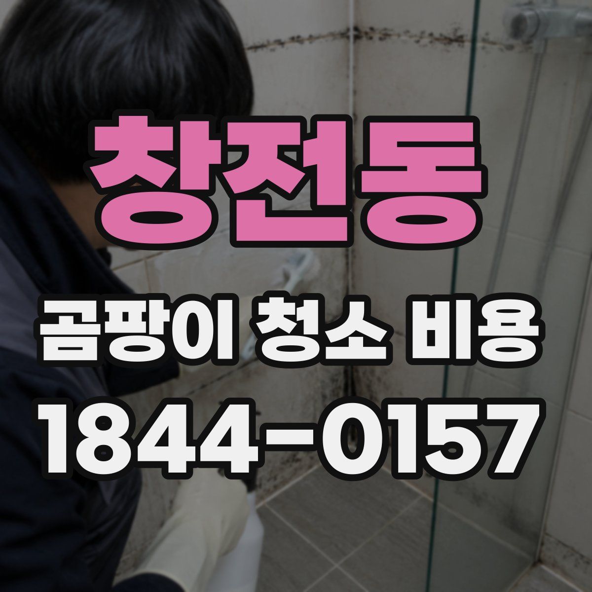 창전동 곰팡이 청소 비용
