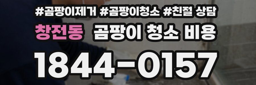 창전동 곰팡이 청소 비용