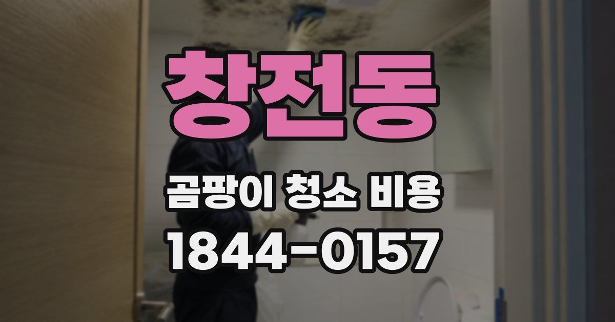 창전동 곰팡이 청소 비용