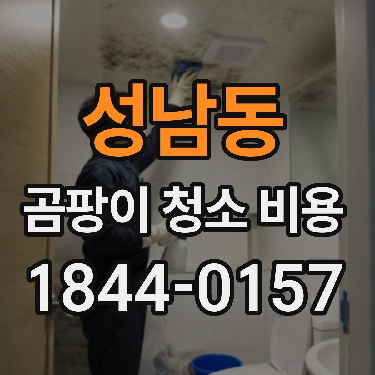 성남동 곰팡이 청소 비용 선택 전에 알아야 할 서비스 차이