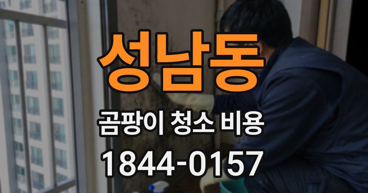 성남동 곰팡이 청소 비용