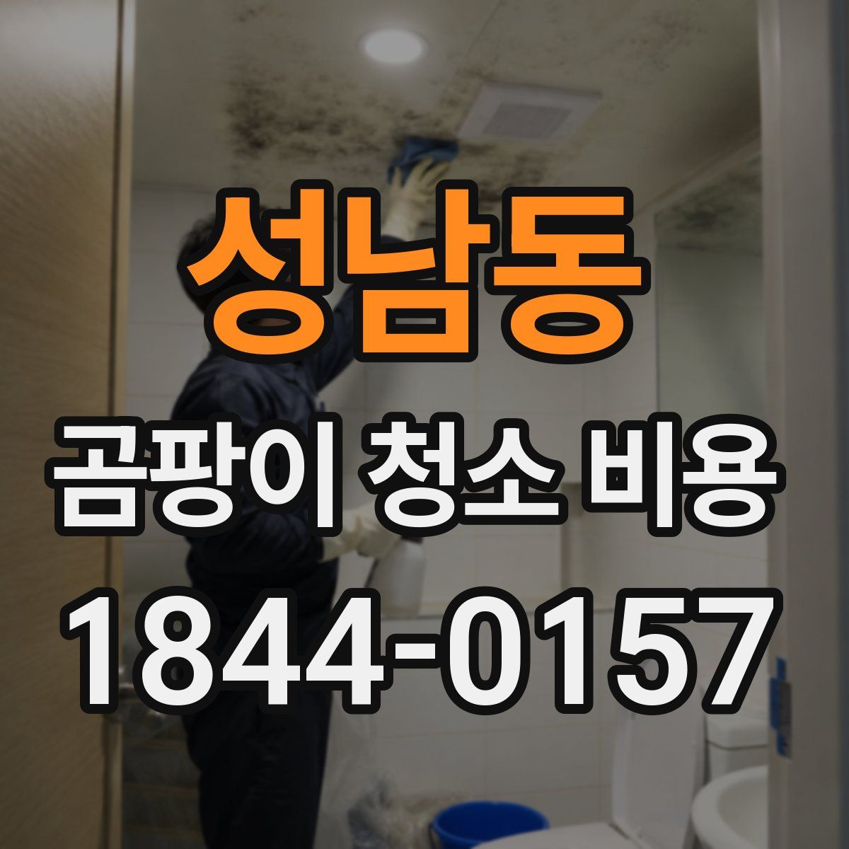 성남동 곰팡이 청소 비용