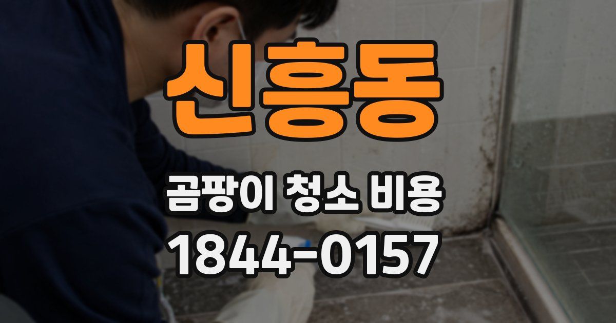 신흥동 곰팡이 청소 비용