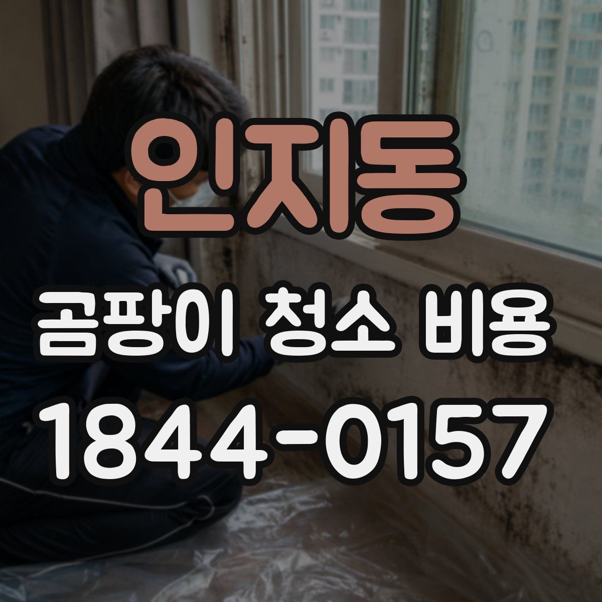 인지동 곰팡이 청소 비용