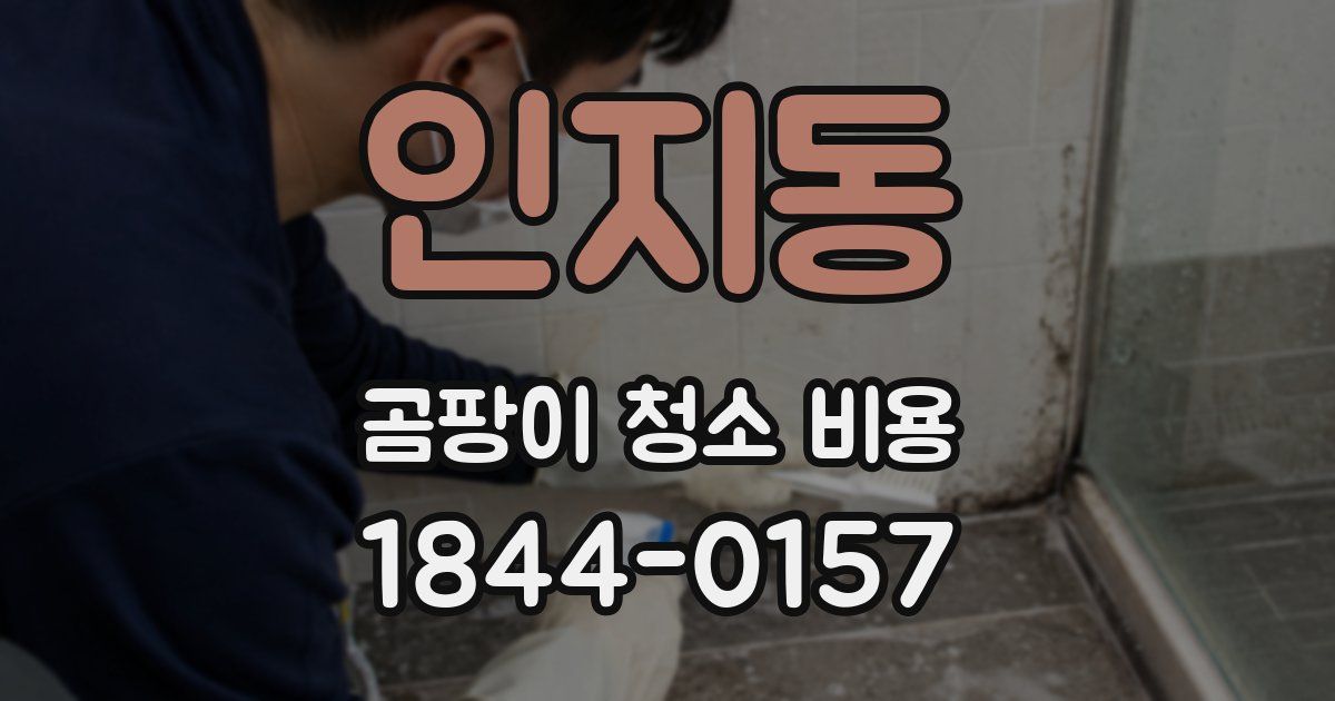 인지동 곰팡이 청소 비용
