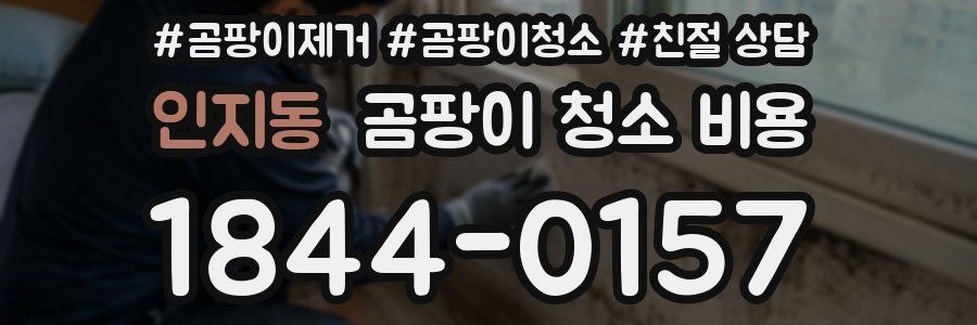 인지동 곰팡이 청소 비용