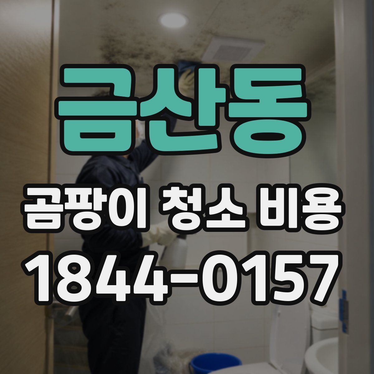 금산동 곰팡이 청소 비용