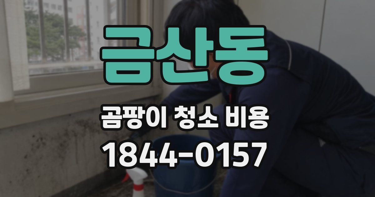 금산동 곰팡이 청소 비용