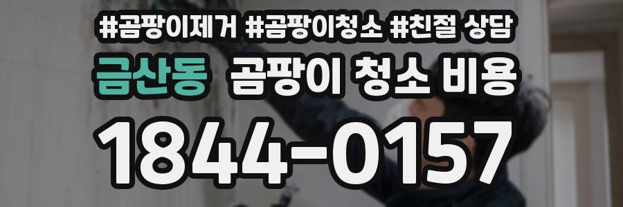 금산동 곰팡이 청소 비용