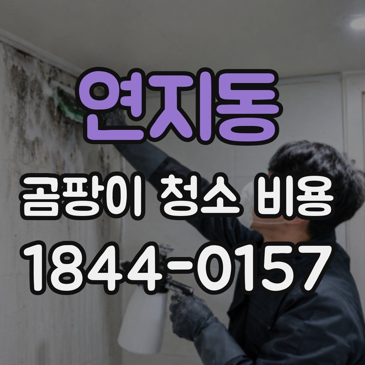 연지동 곰팡이 청소 비용