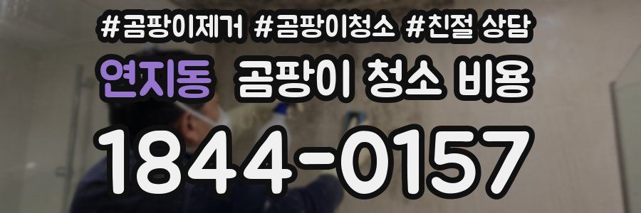 연지동 곰팡이 청소 비용