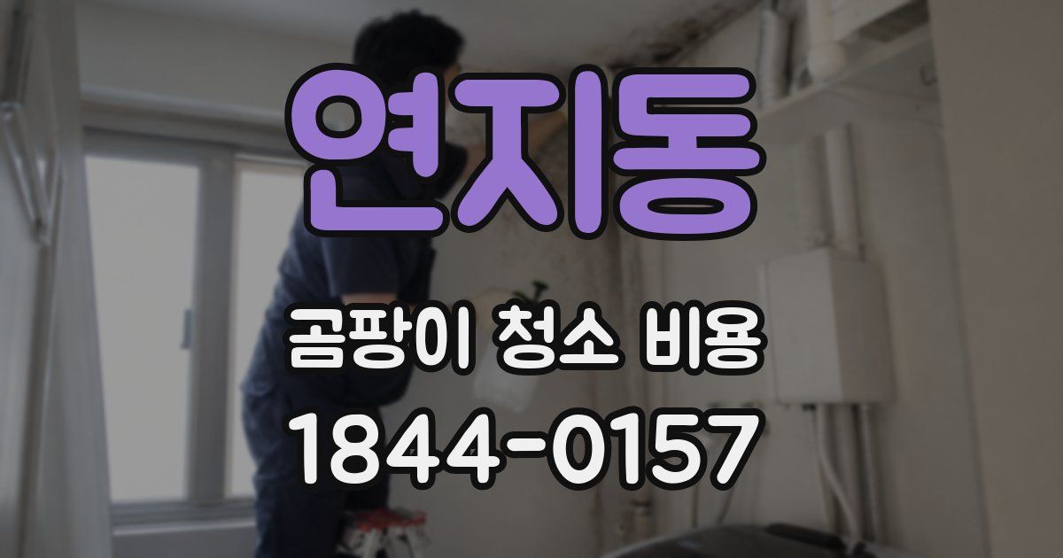 연지동 곰팡이 청소 비용
