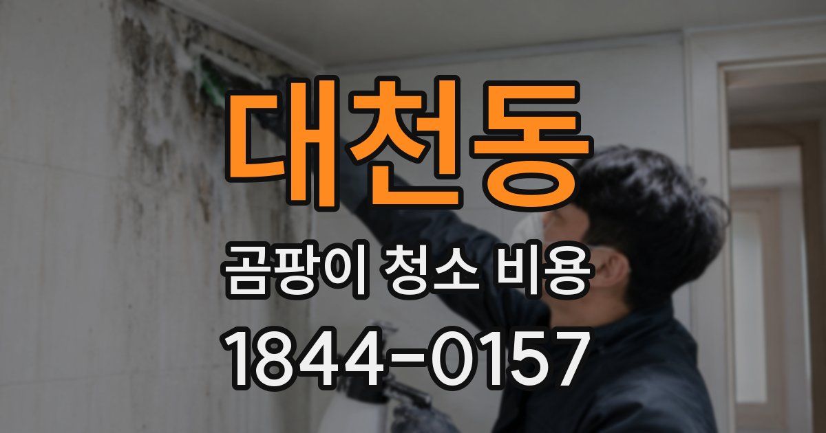 대천동 곰팡이 청소 비용