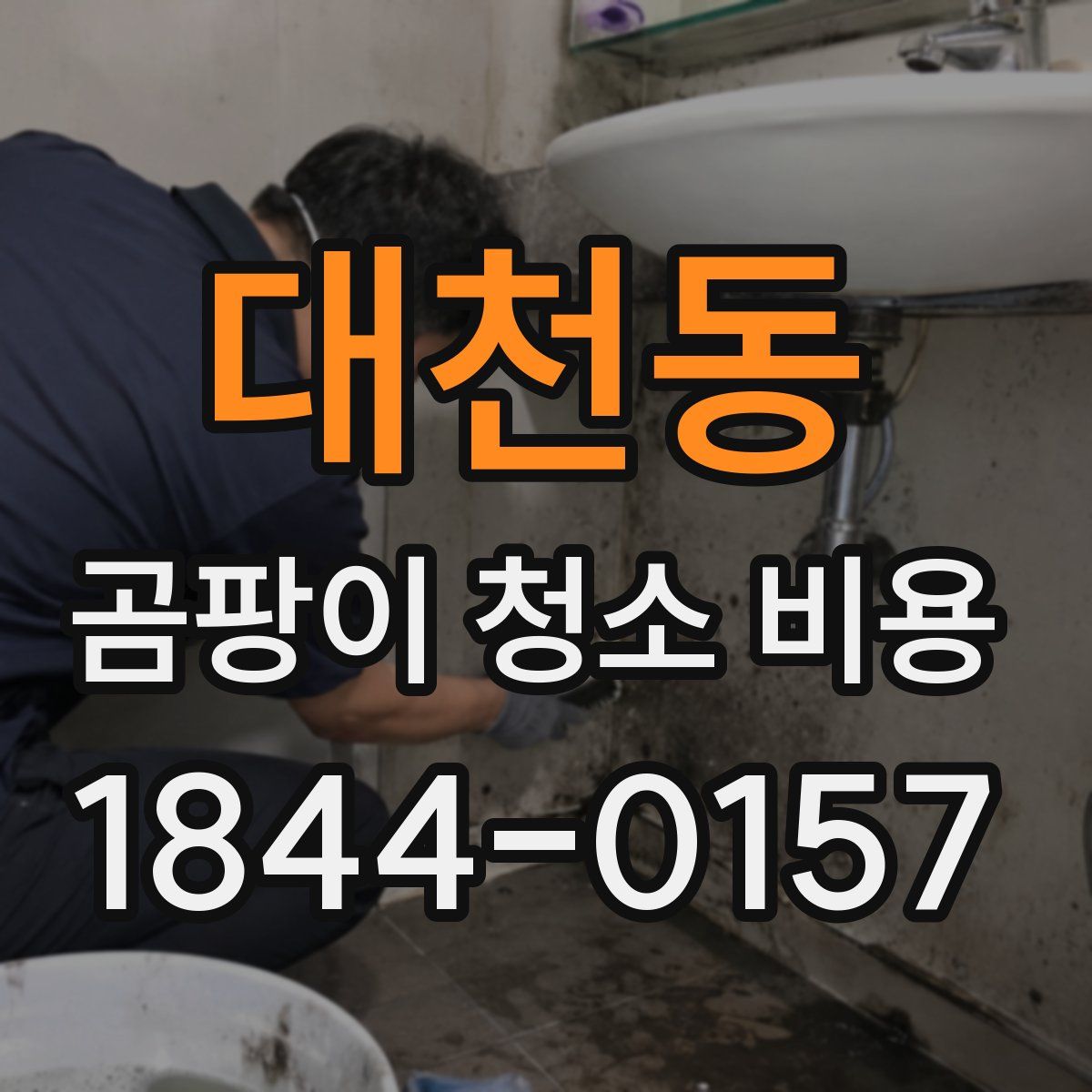 대천동 곰팡이 청소 비용