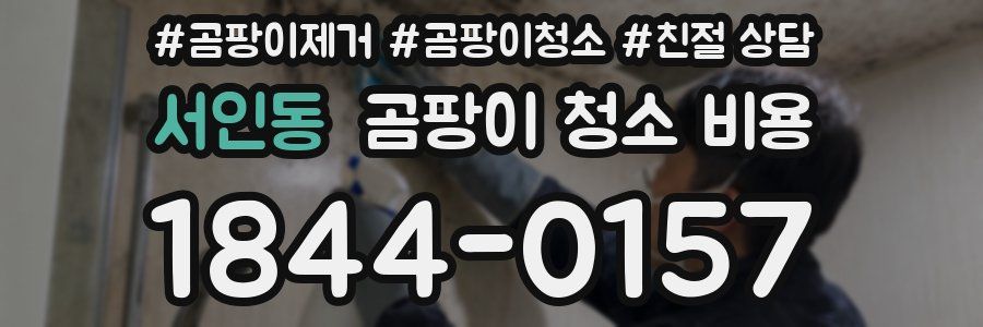 서인동 곰팡이 청소 비용