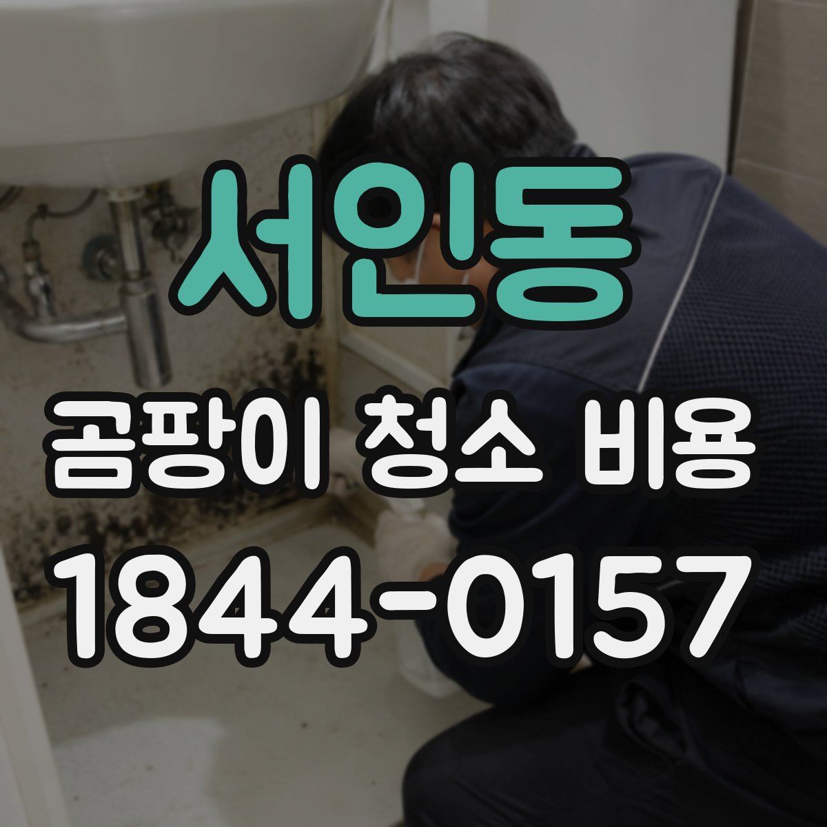 서인동 곰팡이 청소 비용