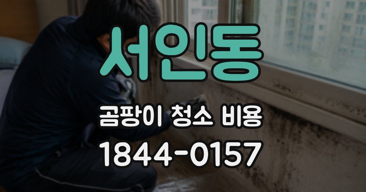 서인동 곰팡이 청소 비용