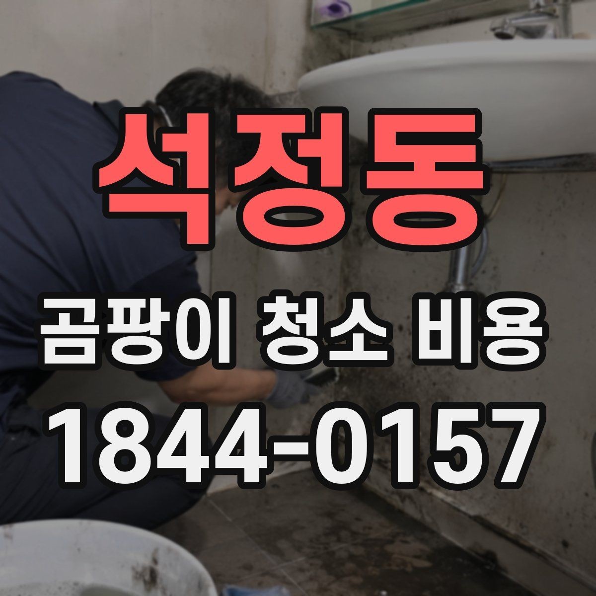 석정동 곰팡이 청소 비용 문의 시 필요한 사진과 정보
