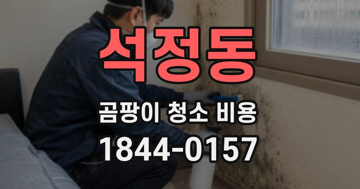 석정동 곰팡이 청소 비용