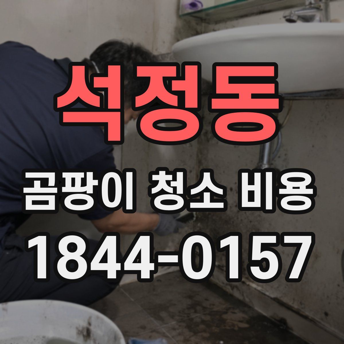 석정동 곰팡이 청소 비용