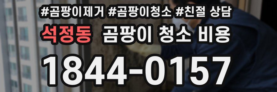석정동 곰팡이 청소 비용