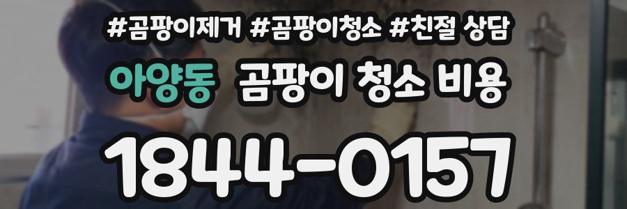 아양동 곰팡이 청소 비용