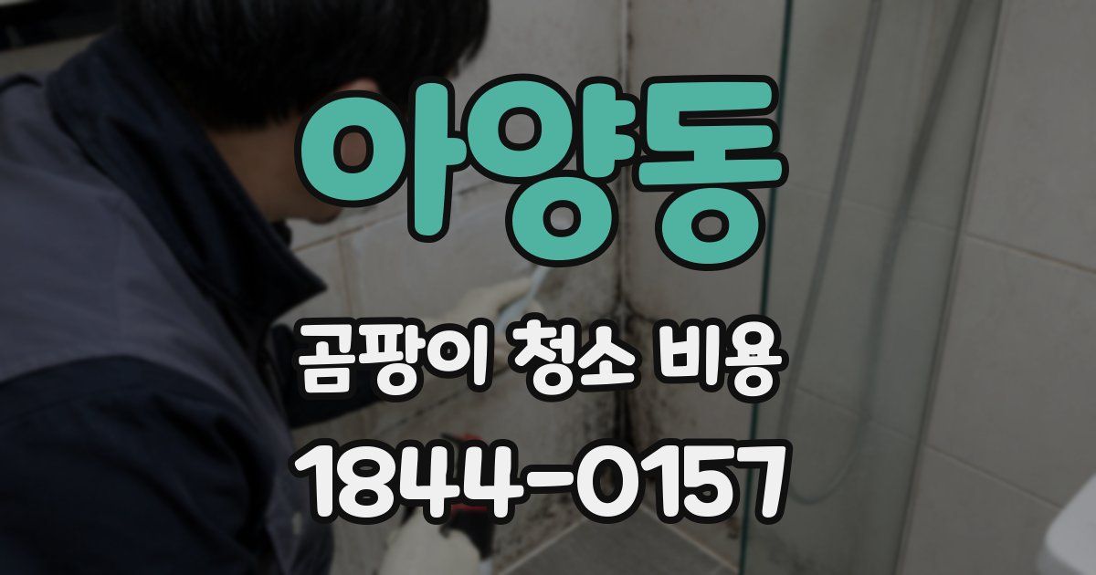 아양동 곰팡이 청소 비용