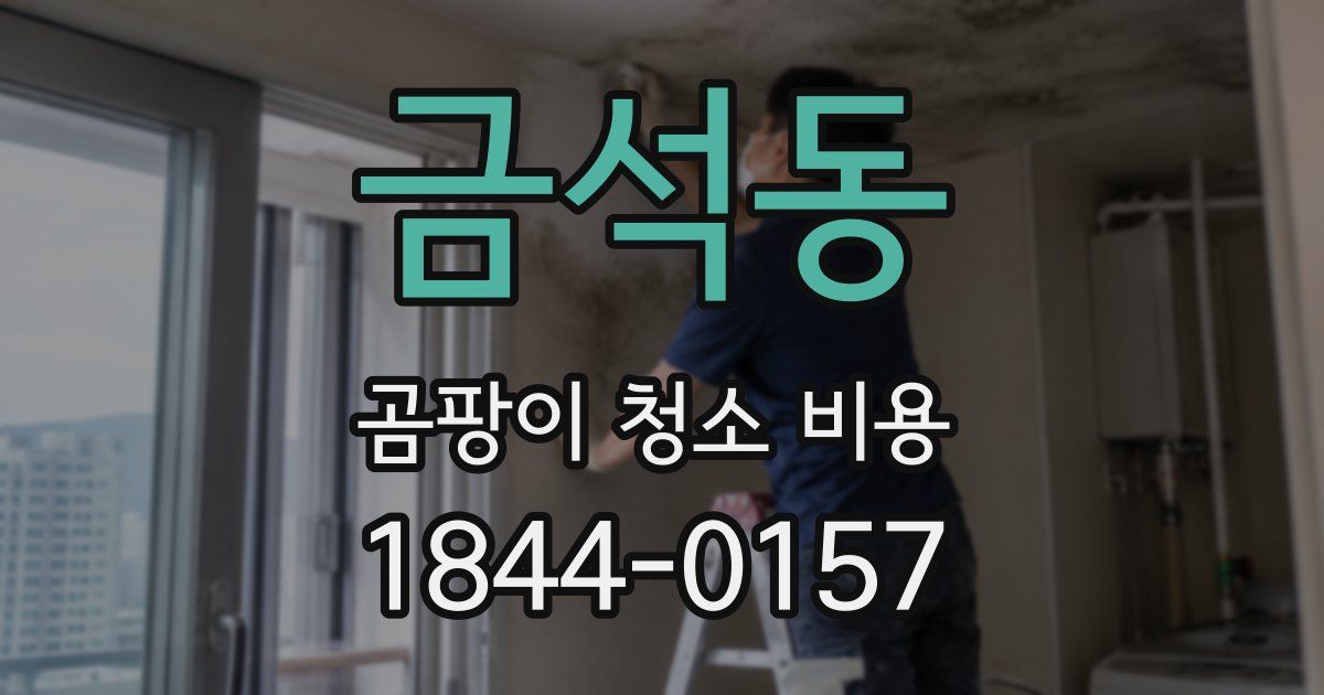 금석동 곰팡이 청소 비용
