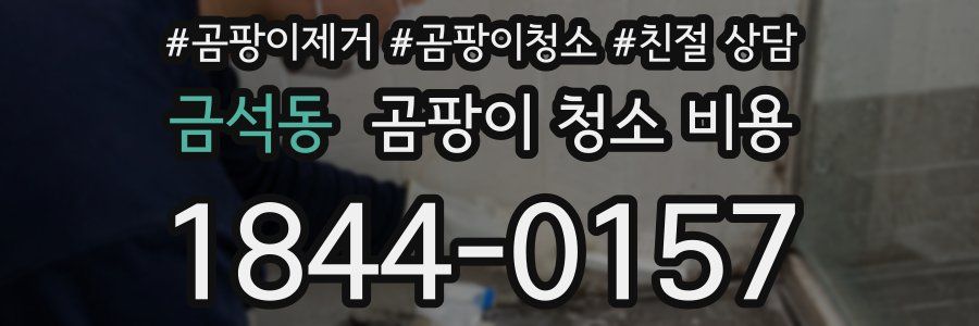 금석동 곰팡이 청소 비용