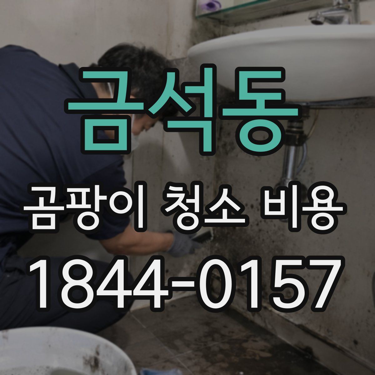 금석동 곰팡이 청소 비용