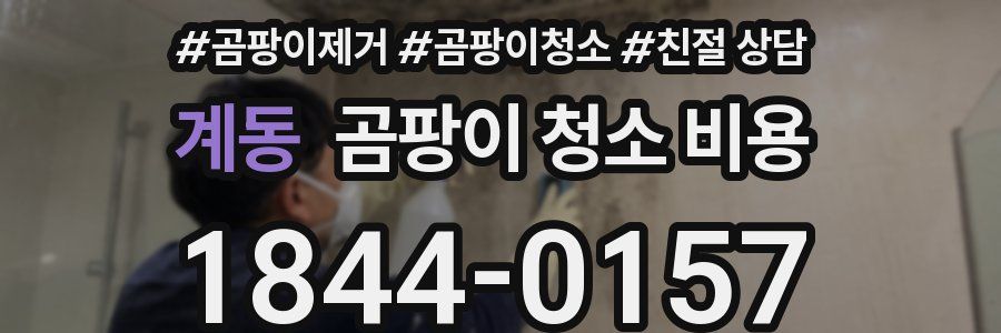 계동 곰팡이 청소 비용