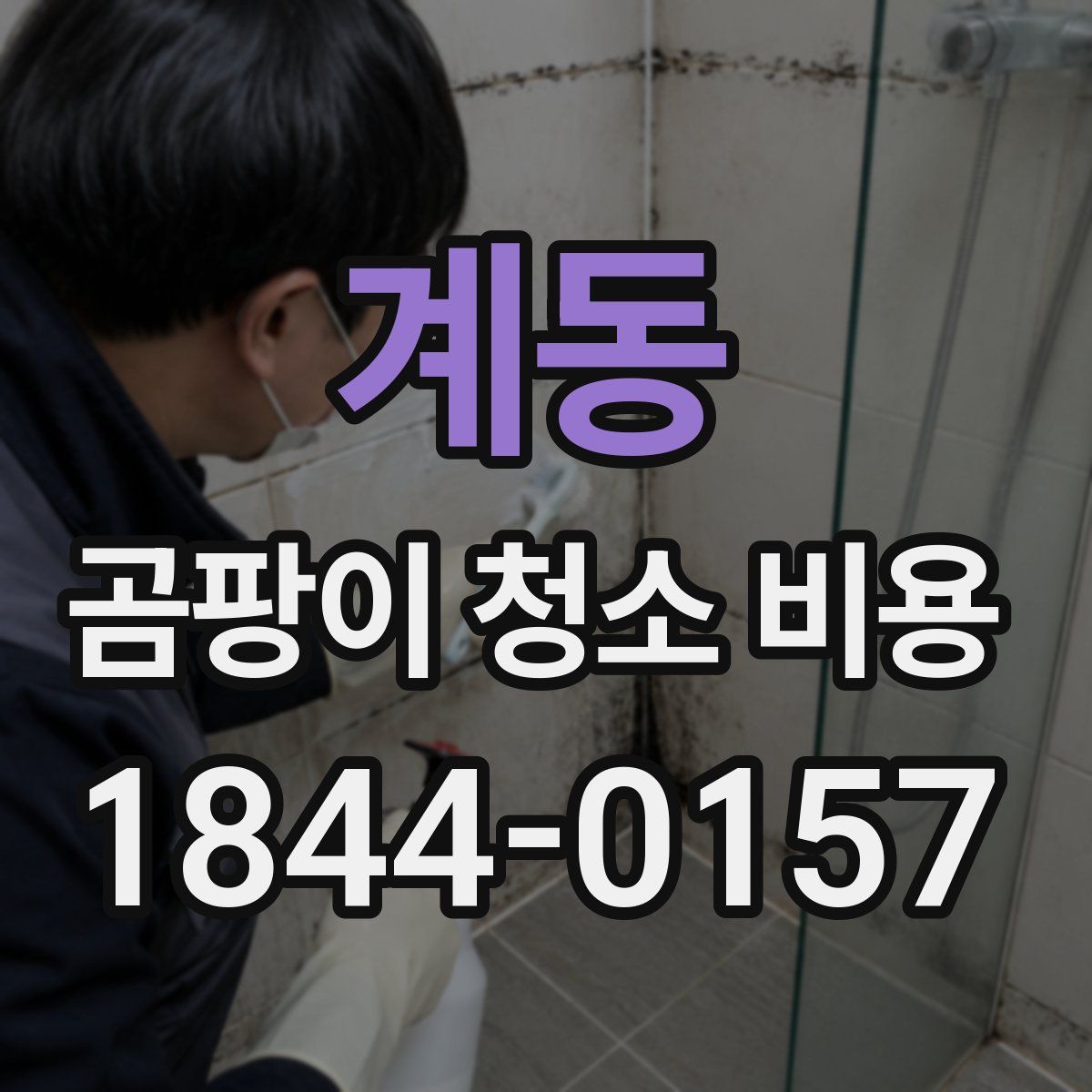 계동 곰팡이 청소 비용