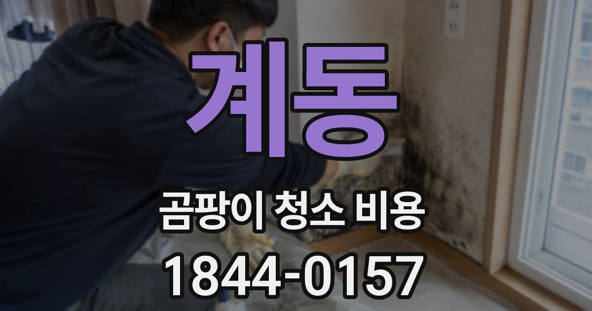 계동 곰팡이 청소 비용