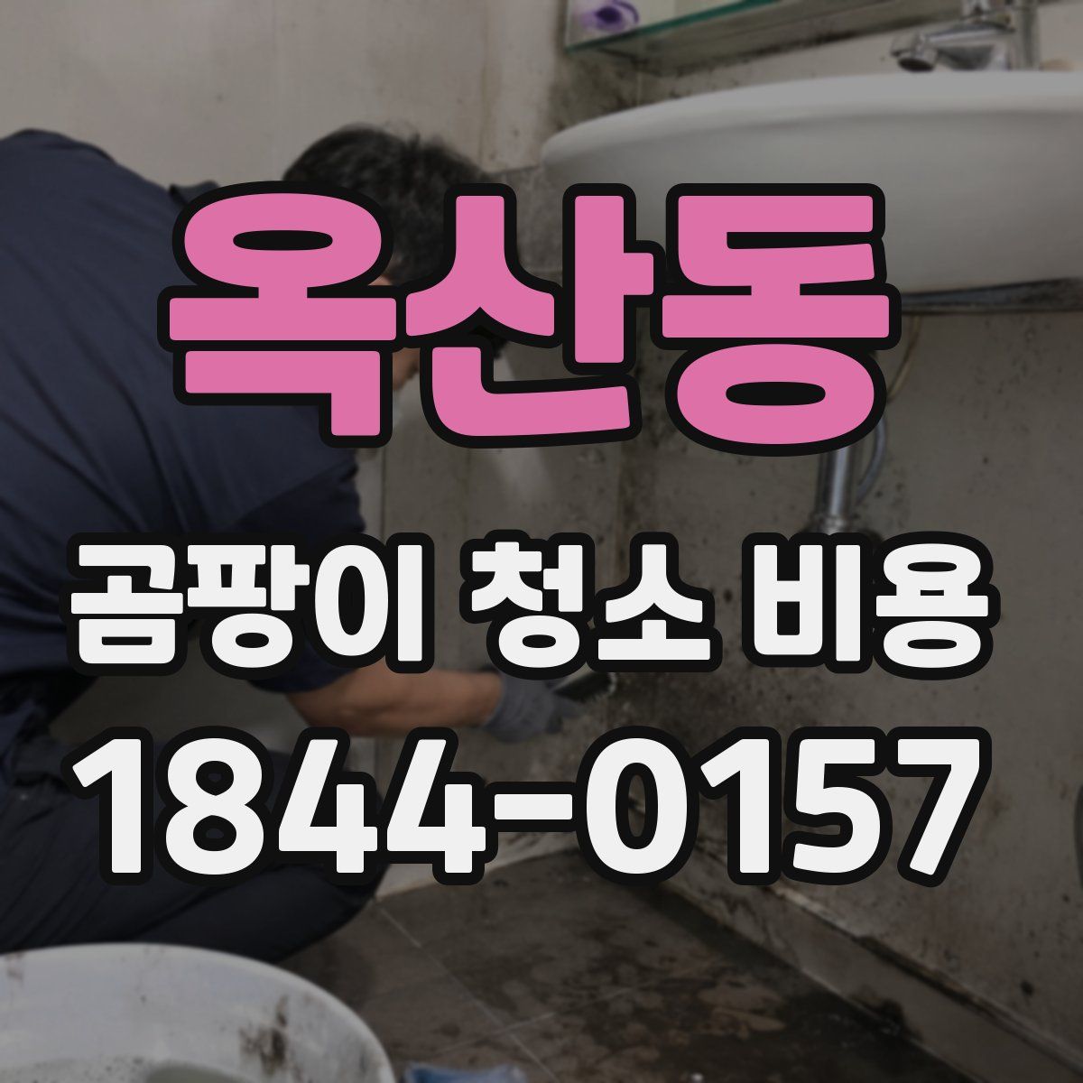 옥산동 곰팡이 청소 비용