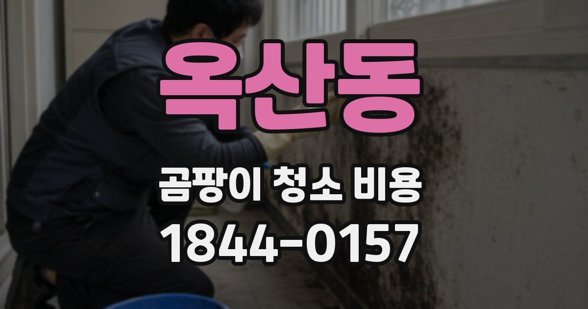 옥산동 곰팡이 청소 비용