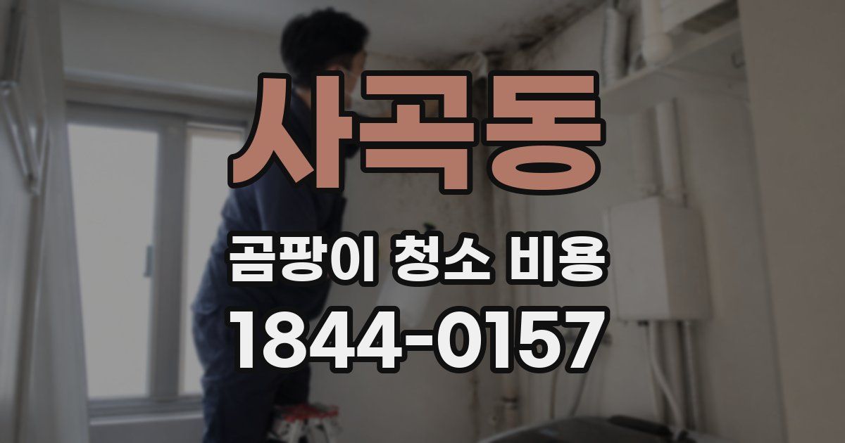 사곡동 곰팡이 청소 비용