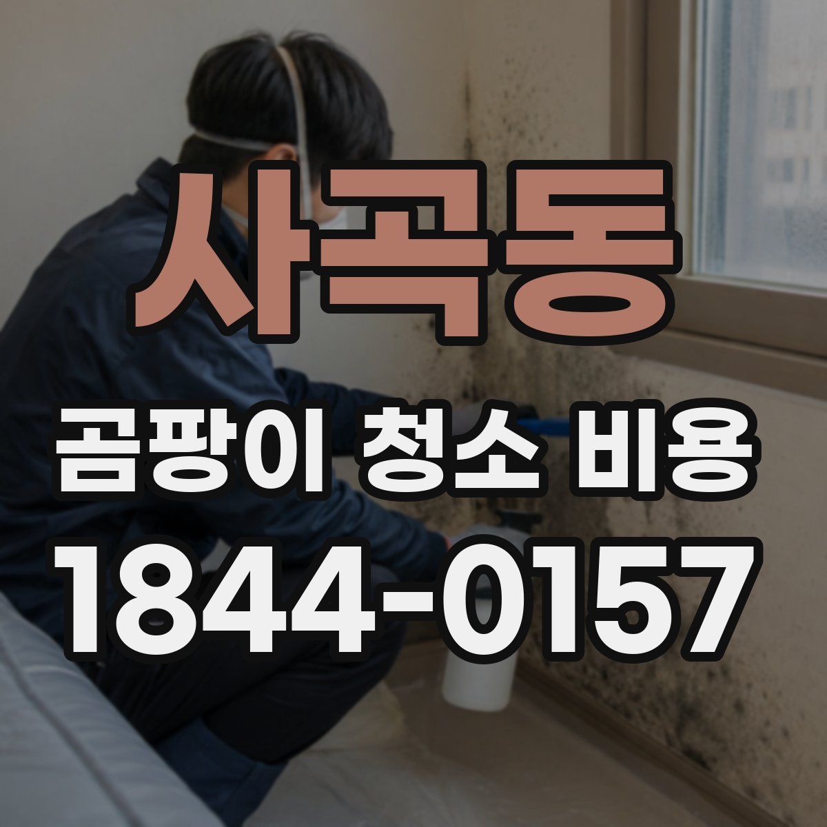 사곡동 곰팡이 청소 비용
