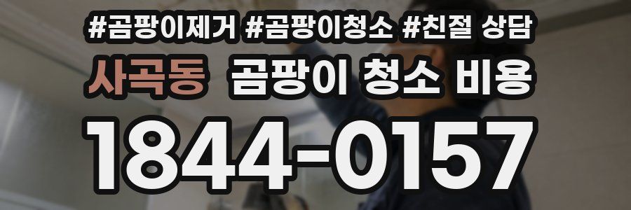 사곡동 곰팡이 청소 비용