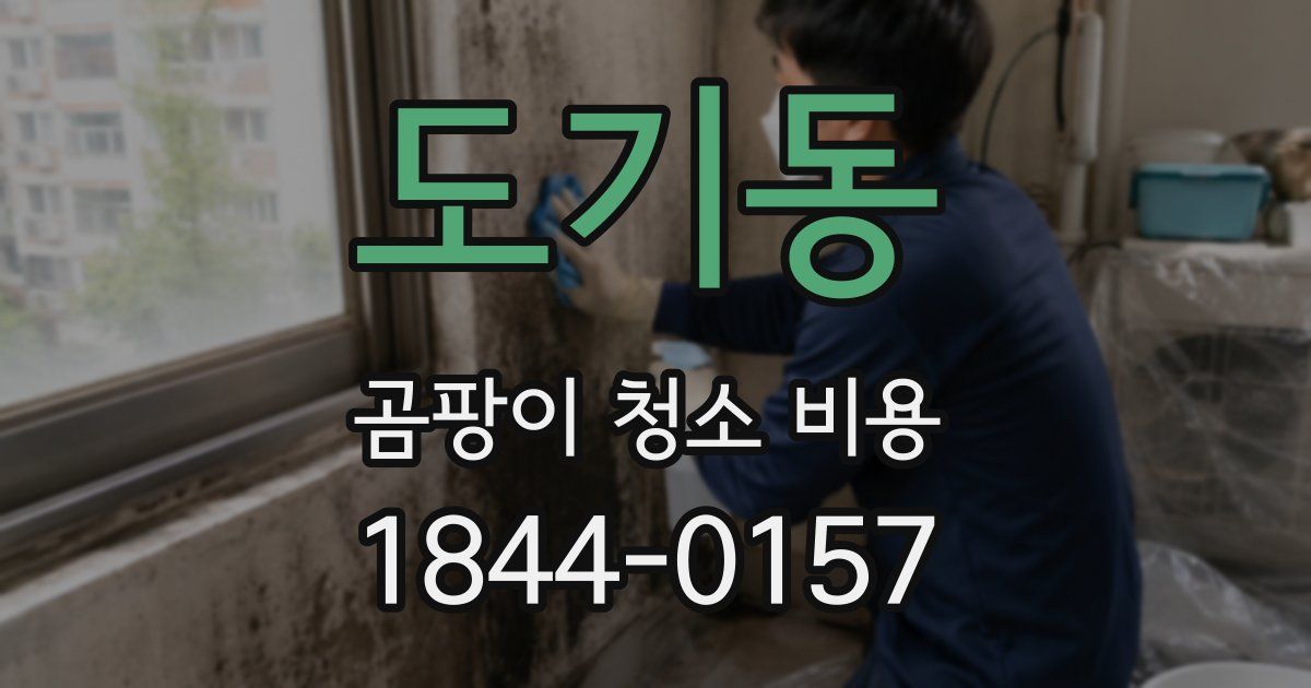 도기동 곰팡이 청소 비용