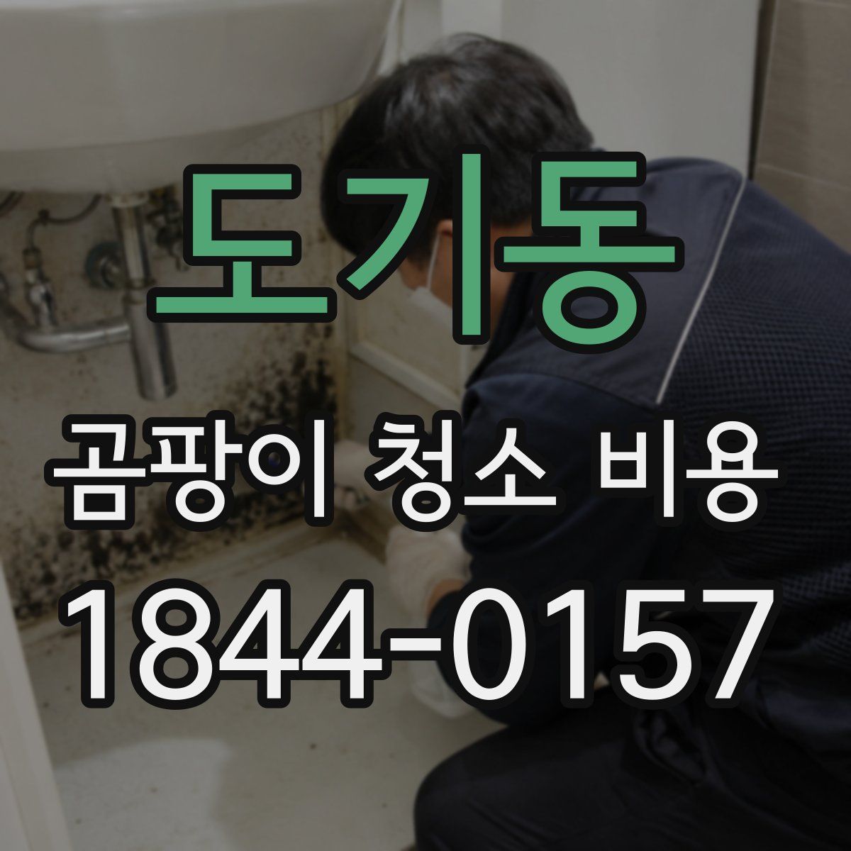 도기동 곰팡이 청소 비용